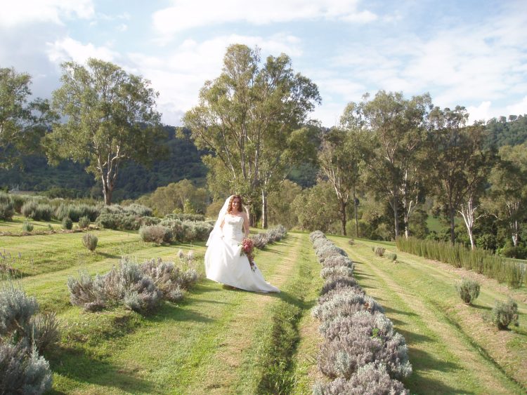 stay as bride and groom