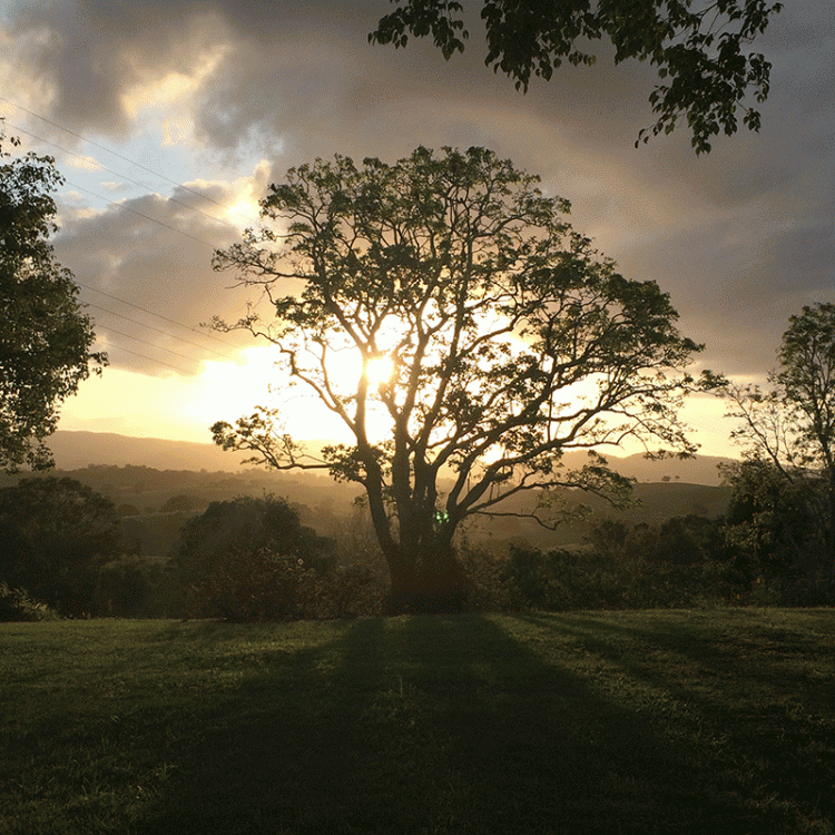 overnight stays qld